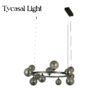 GC2010/12 - Image 2